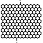 Immature virtual vascular network 