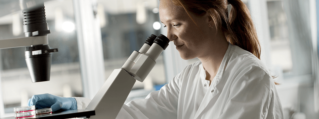 Lab