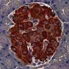 Research picuture