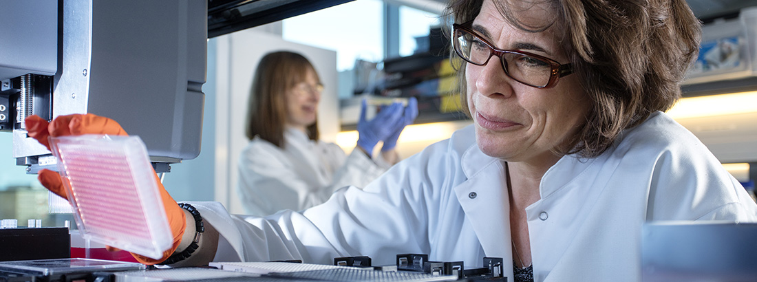 Research in lab